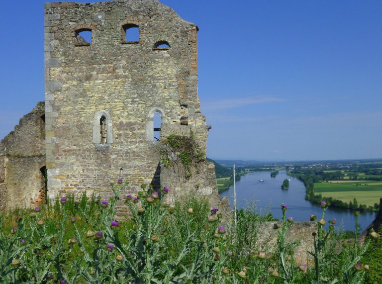 Grossansicht in neuem Fenster: Burgruine Donaustauf