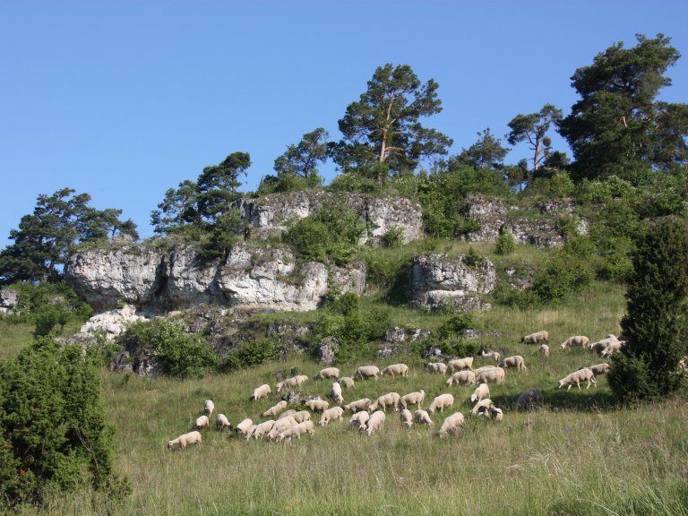 Wanderweg Kallmünz-Fischbach