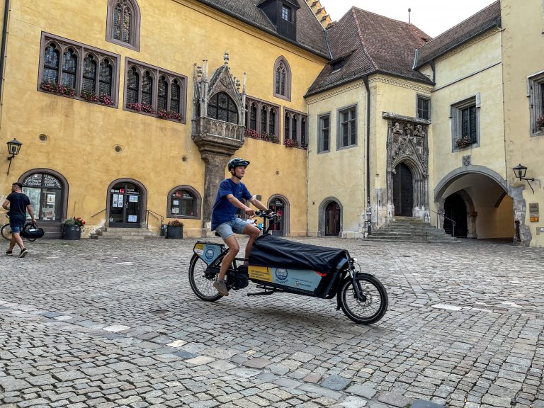 Donau Donkeys - Rathausplatz Regensburg